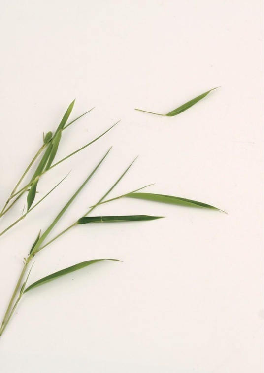 国风水墨1 (58)国风水墨信纸模板word模板